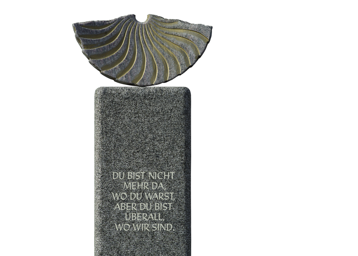 Steinmetz Schneider